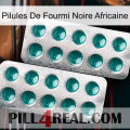 African Black Ant Pills dapoxetine2